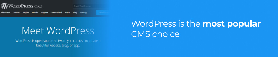 WordPress is the most popular CMS choice