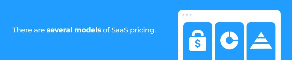 There are several models of SaaS pricing.