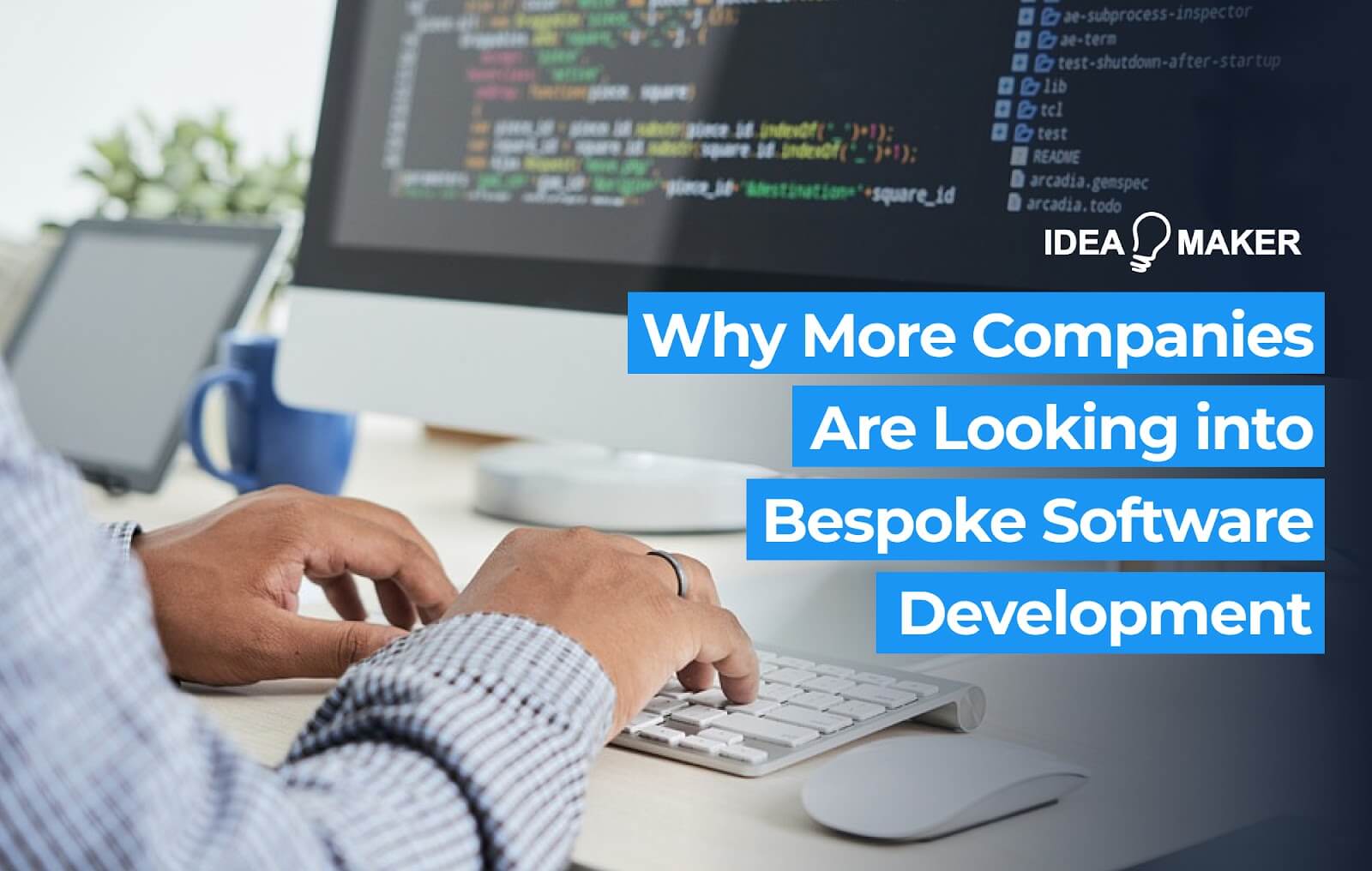 Ideamaker - Why More Companies Are Looking into Bespoke Software Development