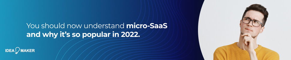Why Micro SaaS Is the Hottest Trend in 2022 - 12