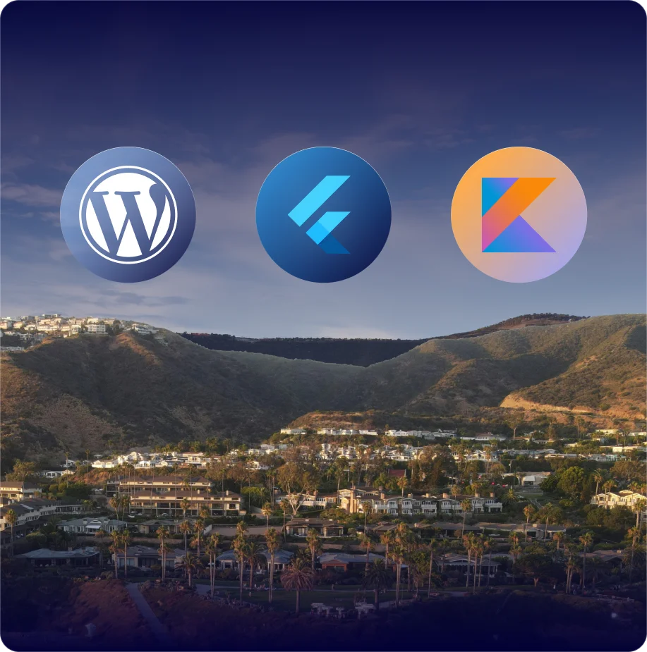 orange-county-expert-software-developers-infographic-revised