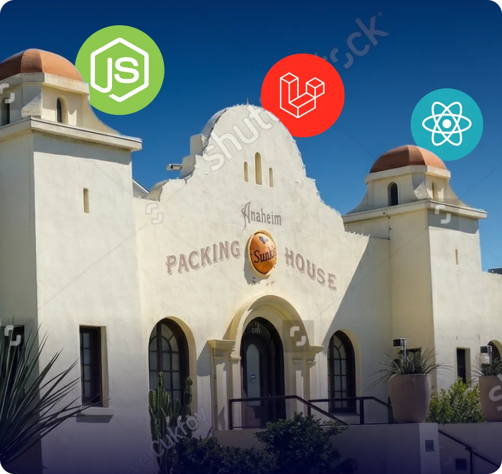 orange-county-web-design-expert-developers-infographic-revised