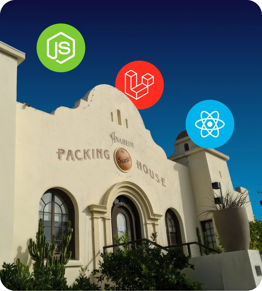 orange-county-web-design-expert-developers-infographic-no-watermark